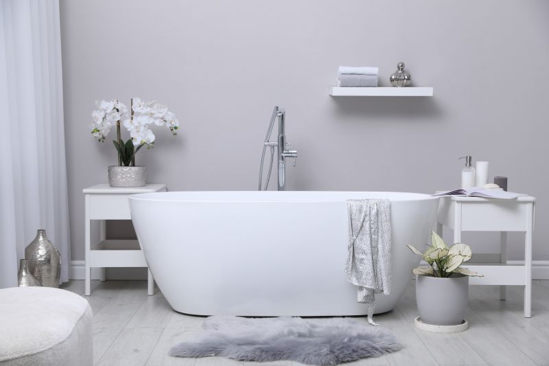 Modern Bathtub with Fixtures