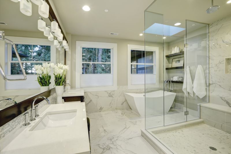 Modern Bathtub Area